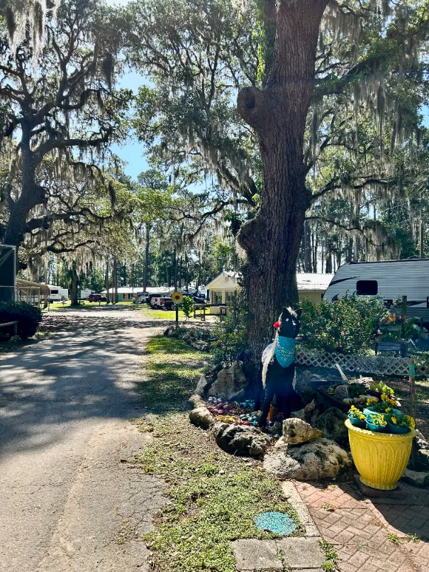 Inglis Lakeside RV Park - Inglis, FL (21)