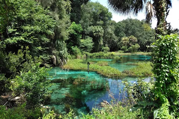 Rainbow Springs State Park